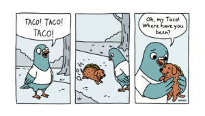 Pigeon searching for taco dog comic (by semuelis)